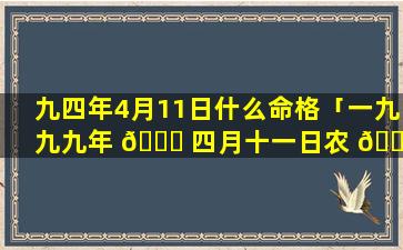 九四年4月11日什么命格「一九九九年 💐 四月十一日农 🌵 历多少」